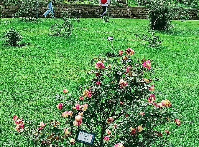 Homestay Porta Maggiore 9 Locazione Turistica Rome